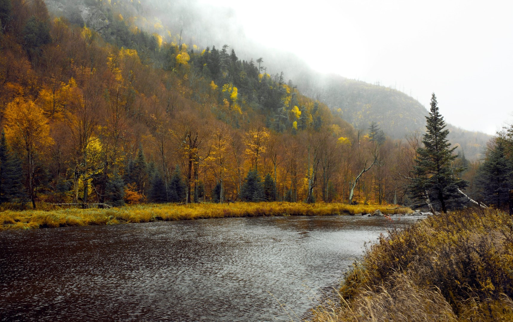  Photo Credit: Photo by Aditya Siva on Unsplash