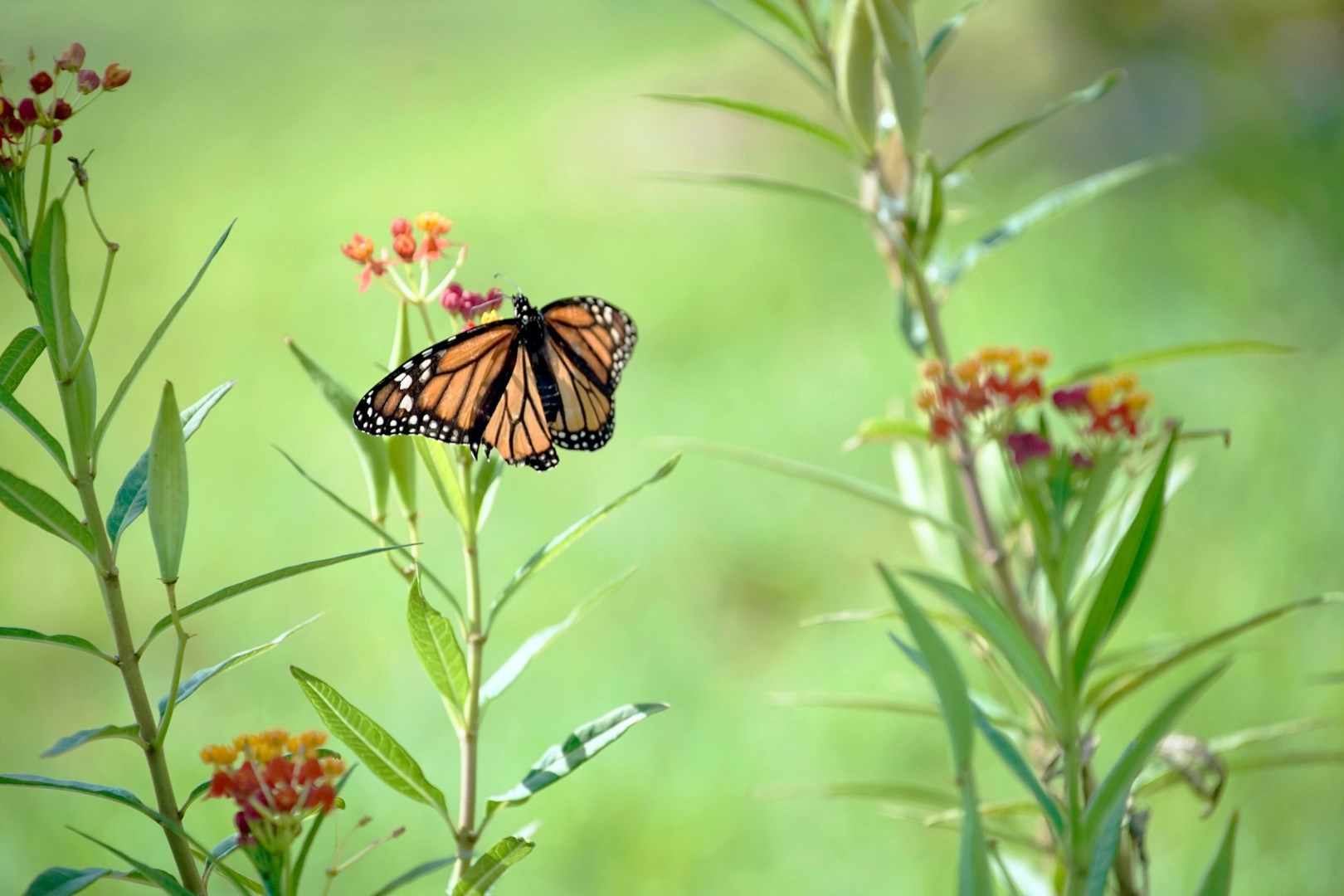  Photo Credit: Photo by Winifred Helton-Harmon on Unsplash