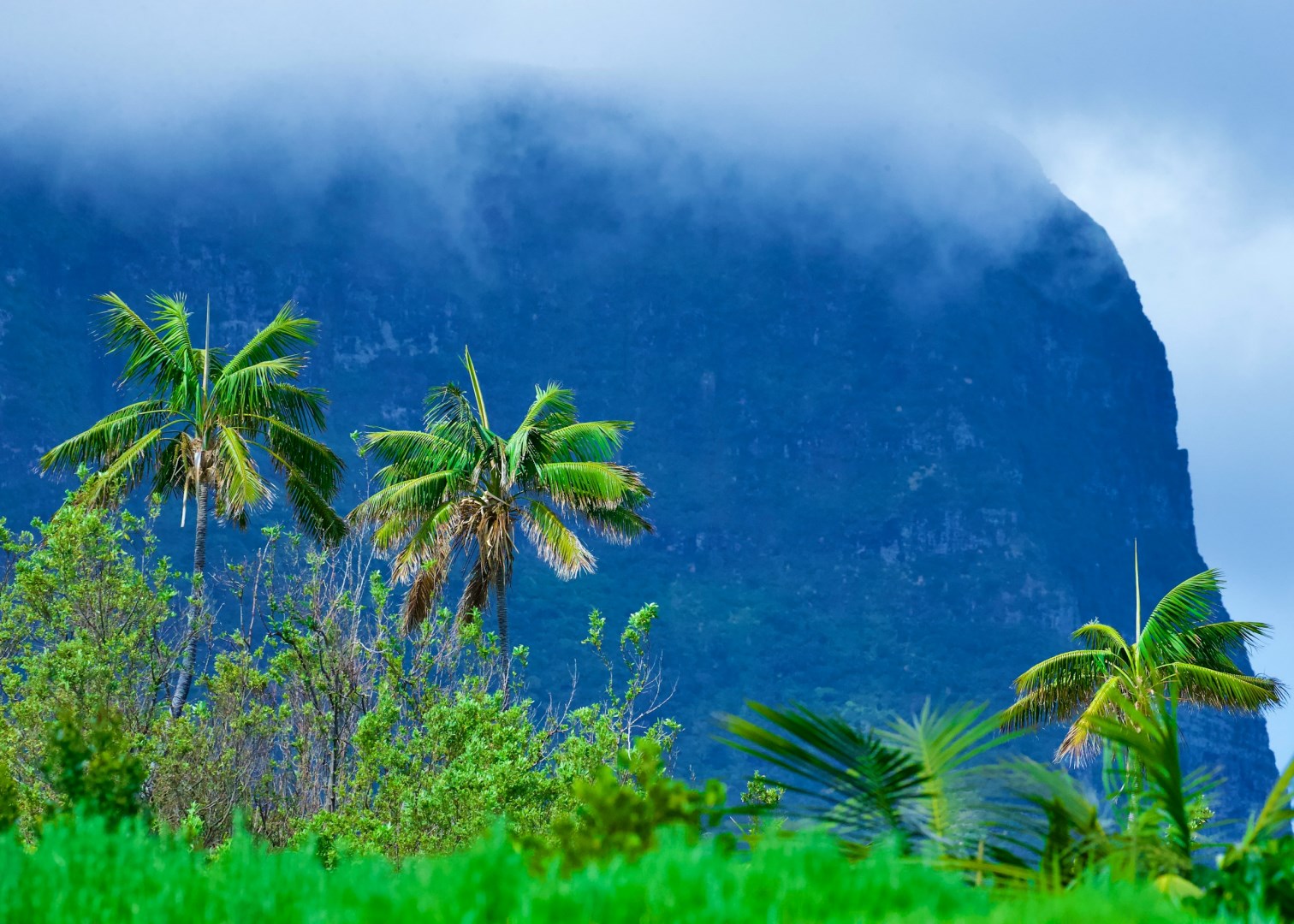  Photo Credit: Photo by James Wainscoat on Unsplash