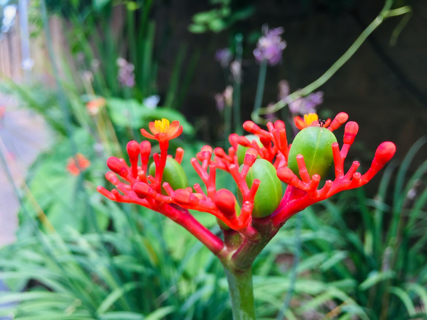  Photo Credit: Photo by Sylvester Mambwe on Unsplash