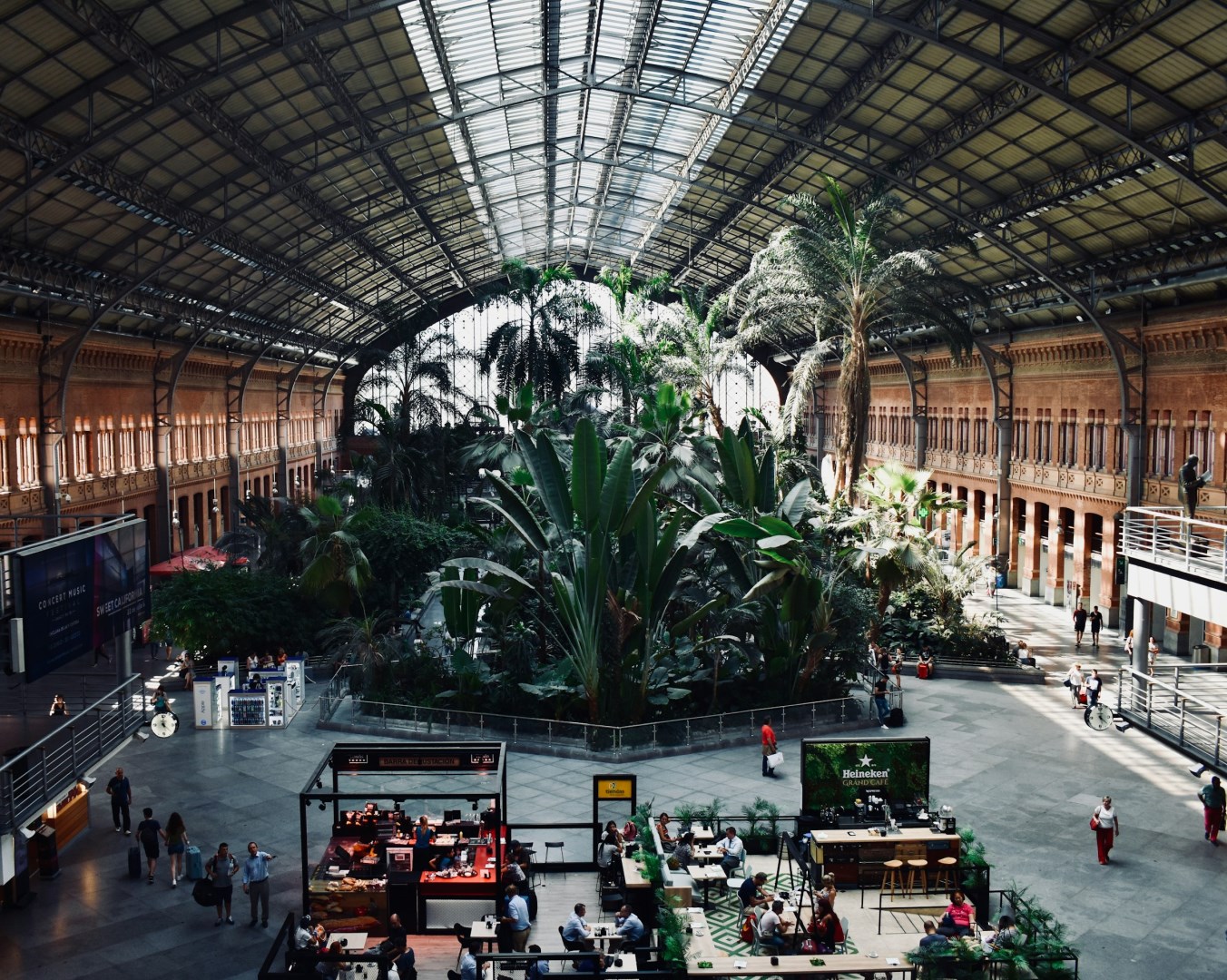 Botanical Garden in Madrid Atocha Train Statino - Photo Credit: Photo by MP on Unsplash