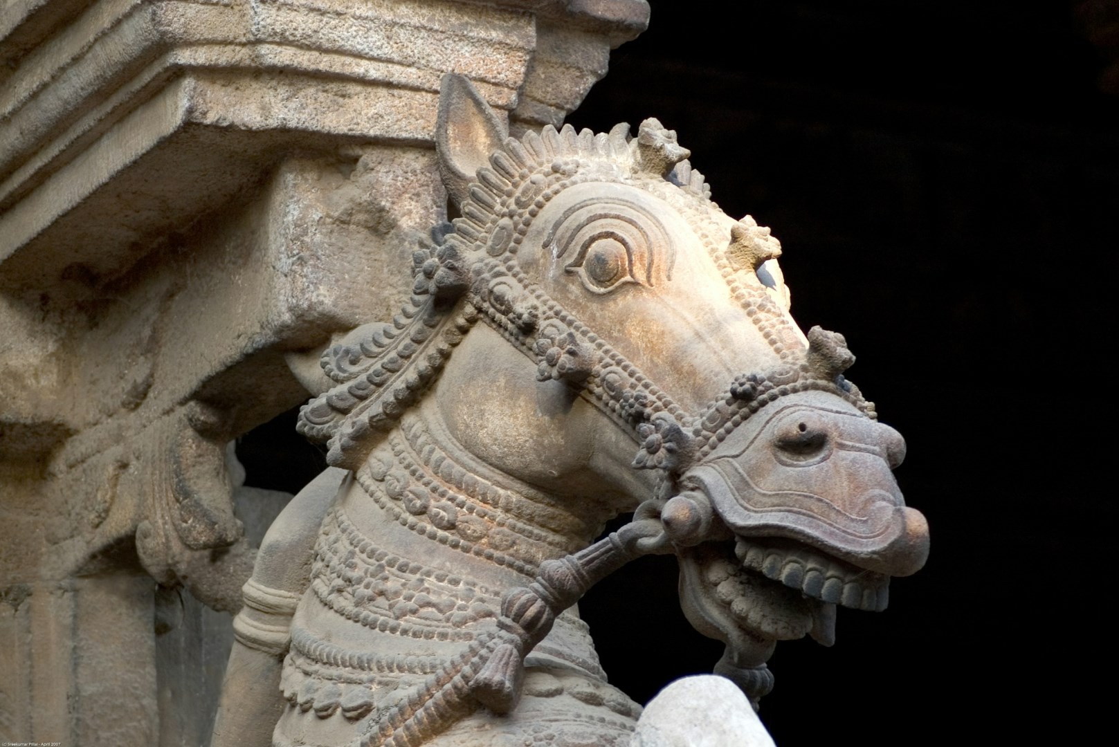 Madurai Meenakshi Temple - Photo Credit: Photo by Sreekumar Pillai on Unsplash