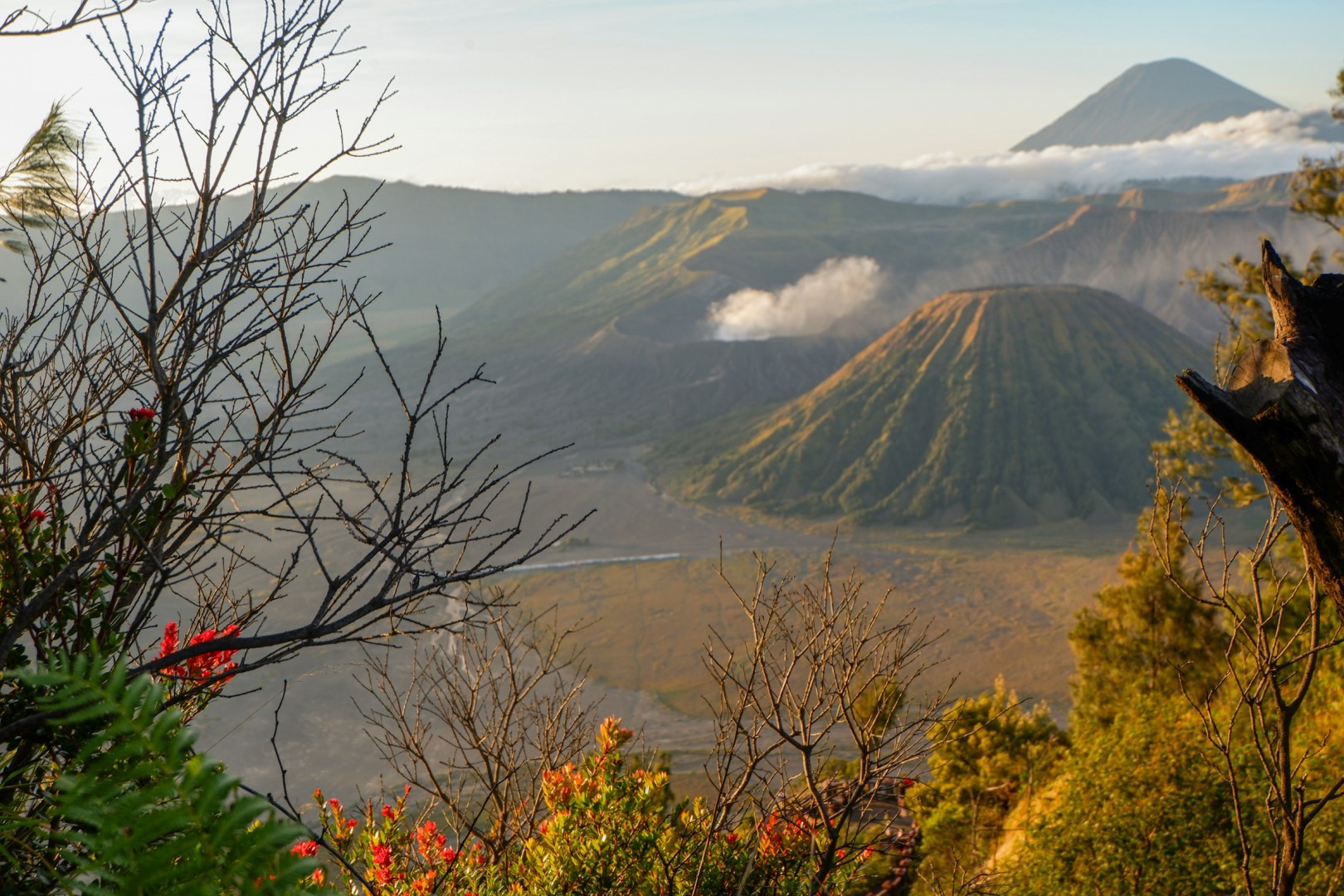  Photo Credit: Photo by Muhamad Arzan on Unsplash