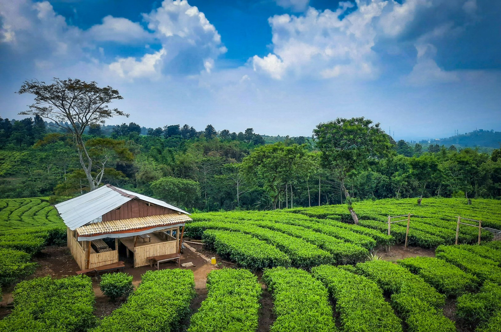  Photo Credit: Photo by Rifandi G on Unsplash
