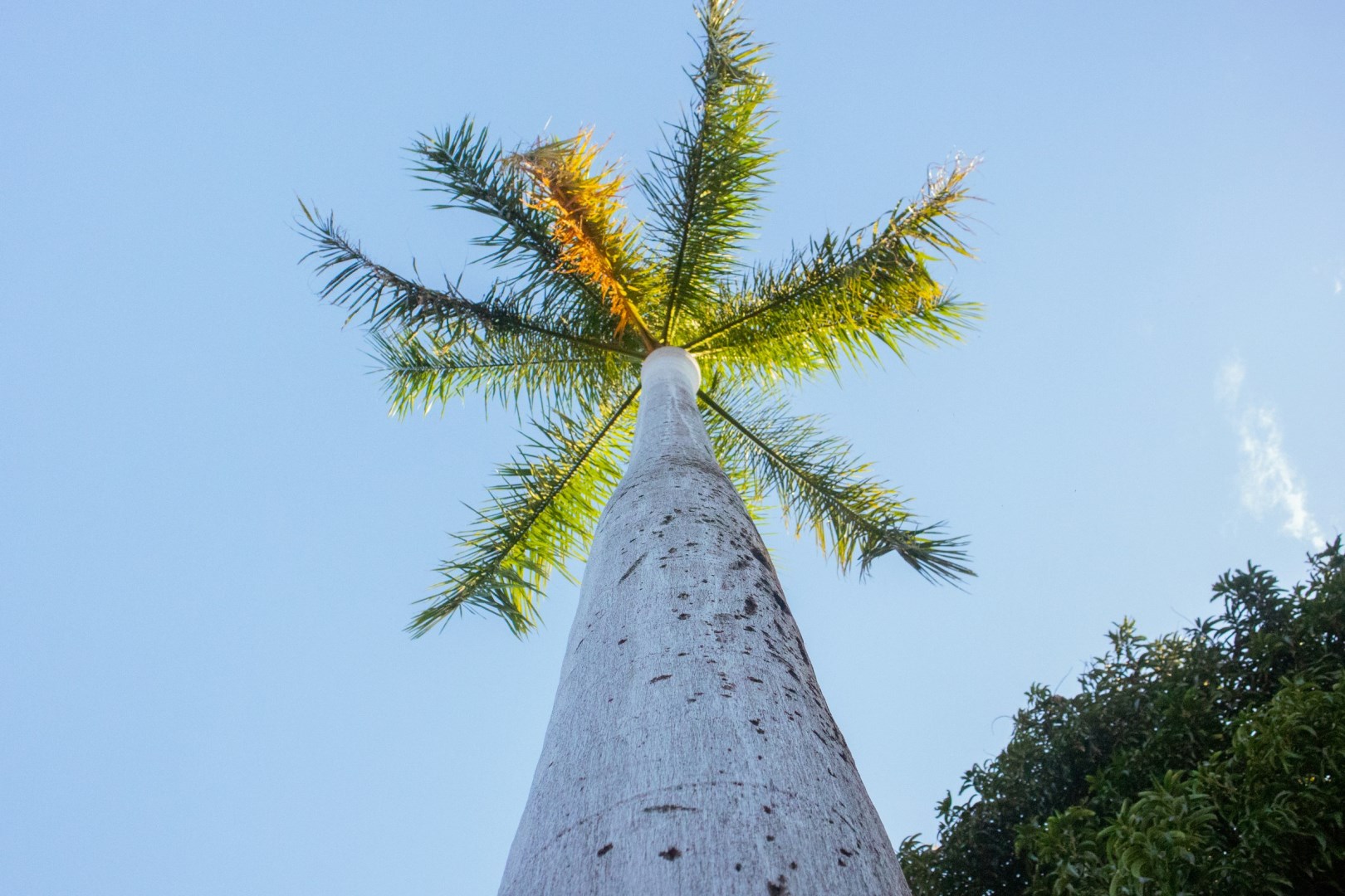 Managua