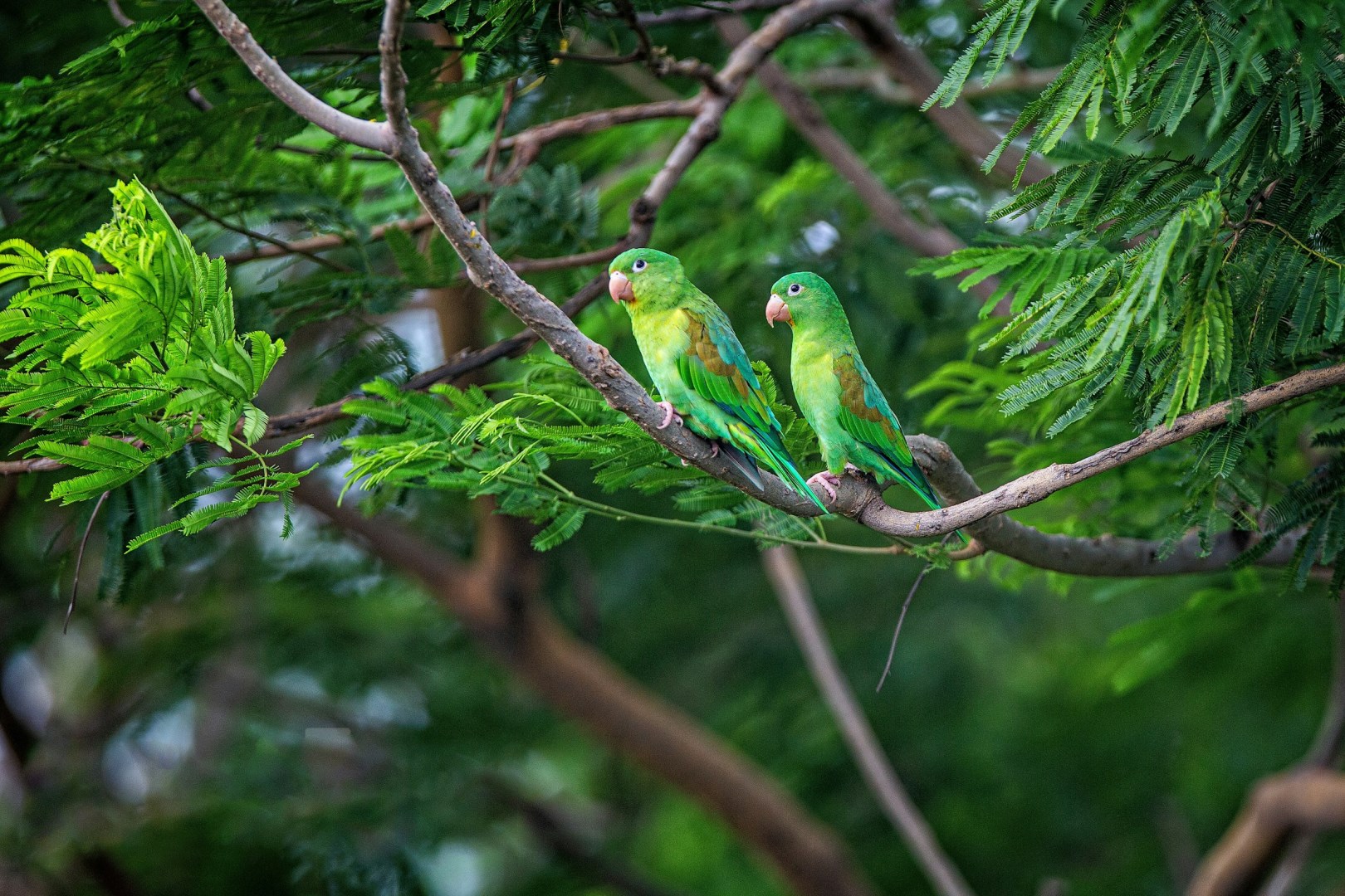  Photo Credit: Photo by roberto zuniga on Unsplash