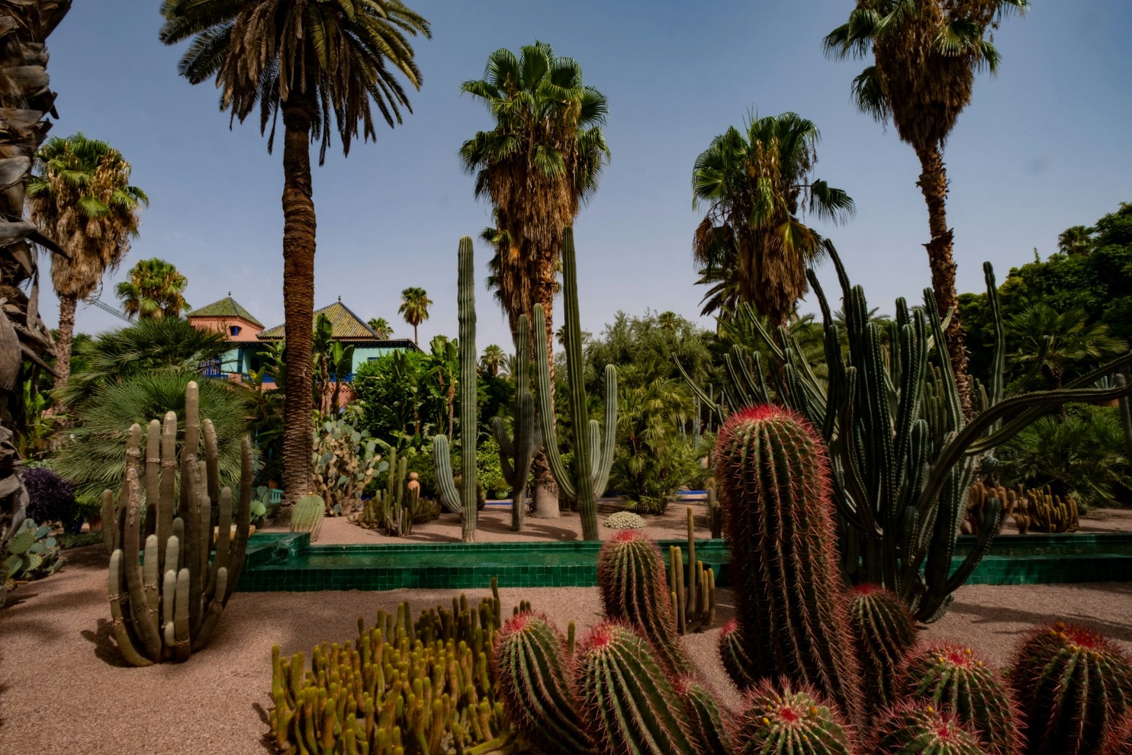Giardini Majorelle - Photo Credit: Photo by Riccardo Monteleone on Unsplash