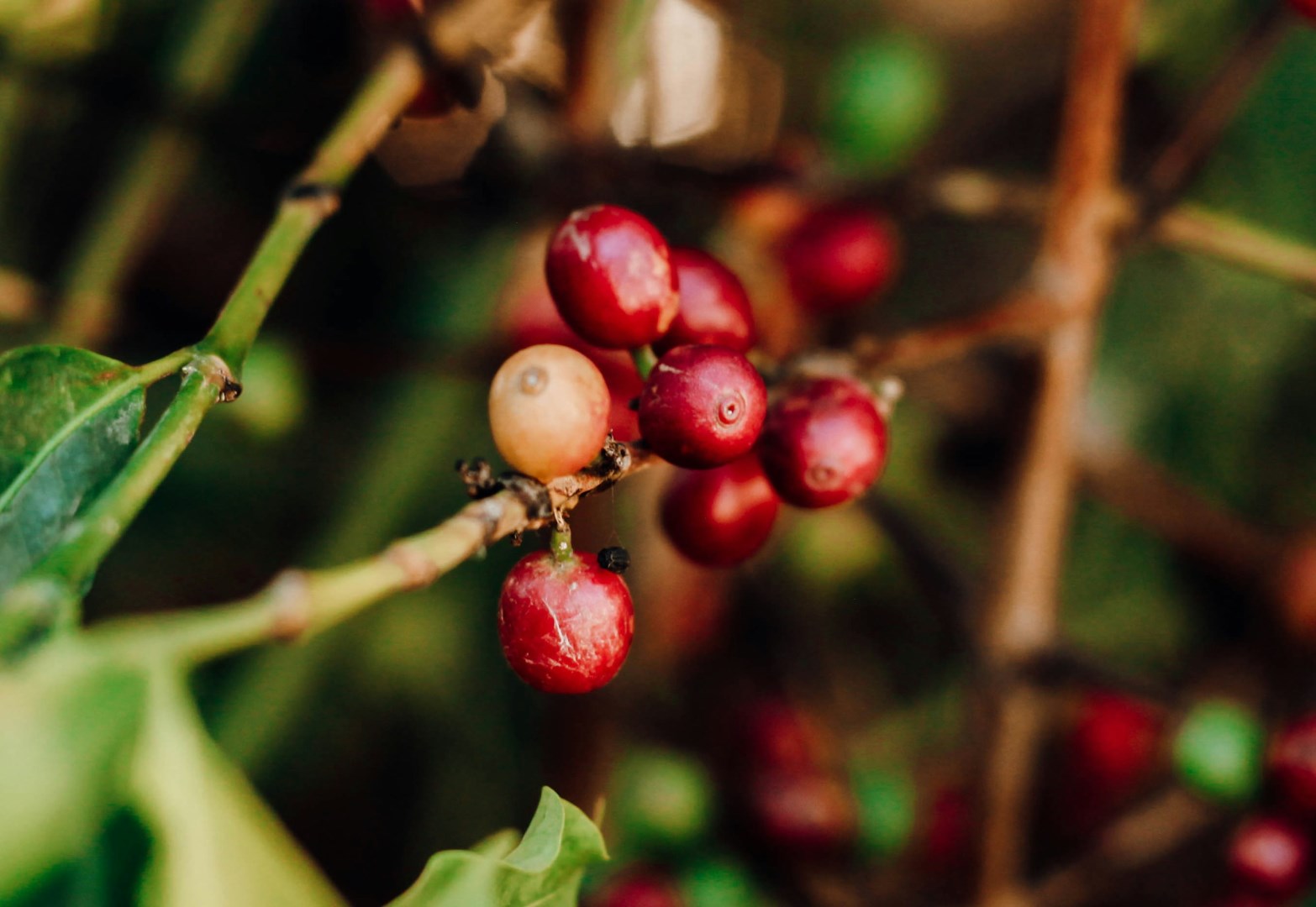 Photo Credit: Photo by Og Mpango on Unsplash