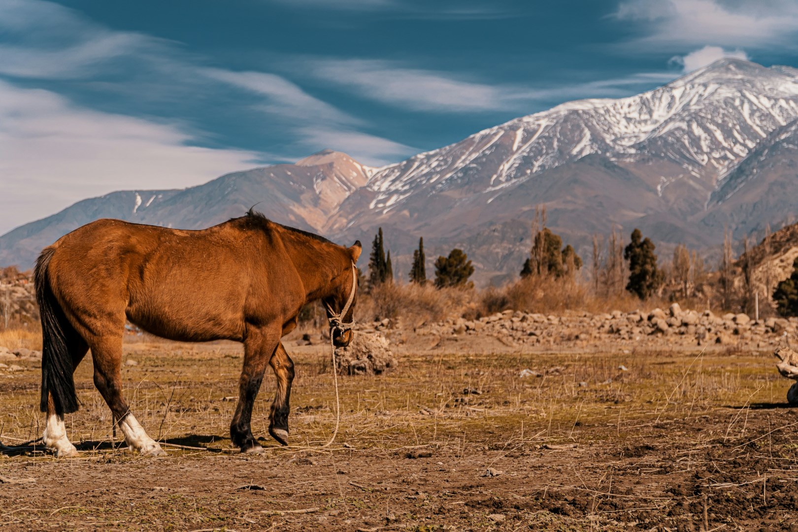  Photo Credit: Photo by Rafael Hoyos Weht on Unsplash