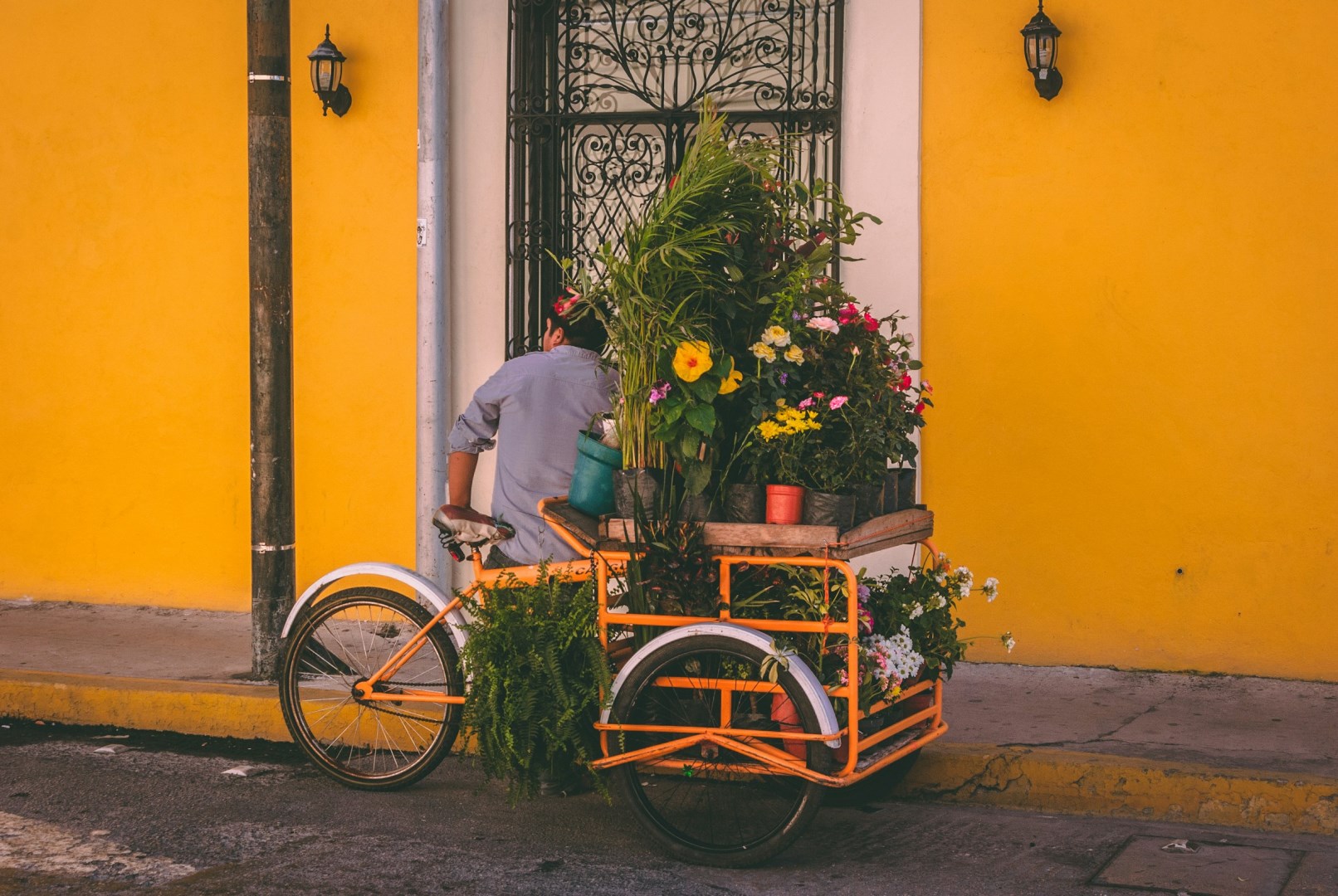  Photo Credit: Photo by Jorge Zapata on Unsplash