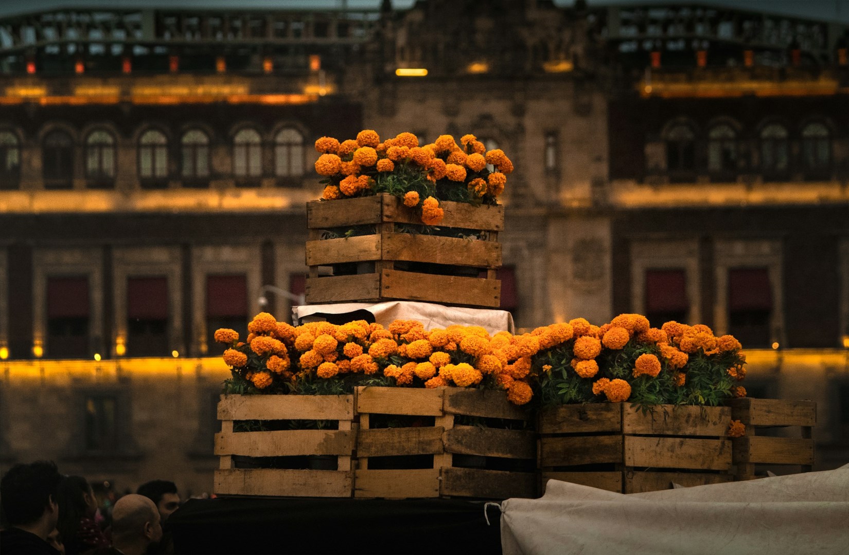  Photo Credit: Photo by Kevin Quezada on Unsplash