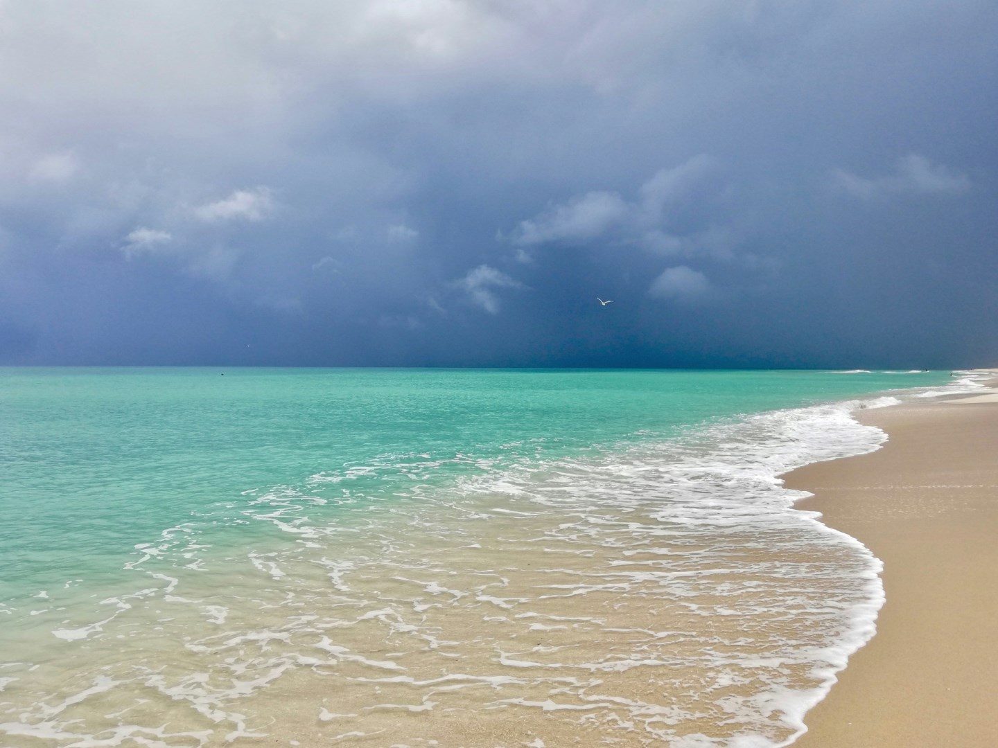 Miami Beach - Photo Credit: Photo by Quick PS on Unsplash
