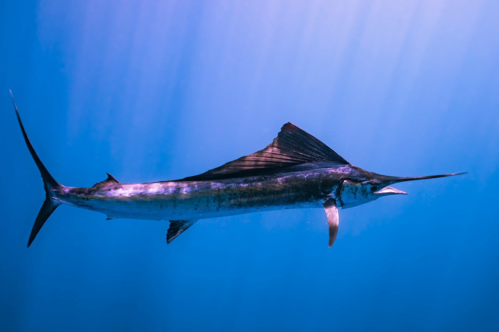  Photo Credit: Photo by Michael Worden on Unsplash