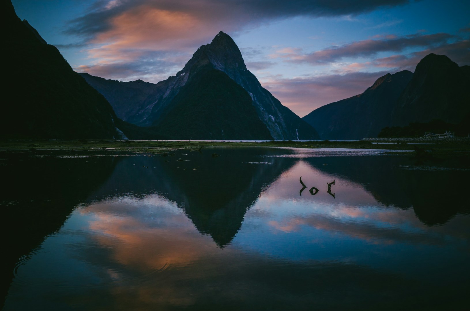  Photo Credit: Photo by Jasper van der Meij on Unsplash