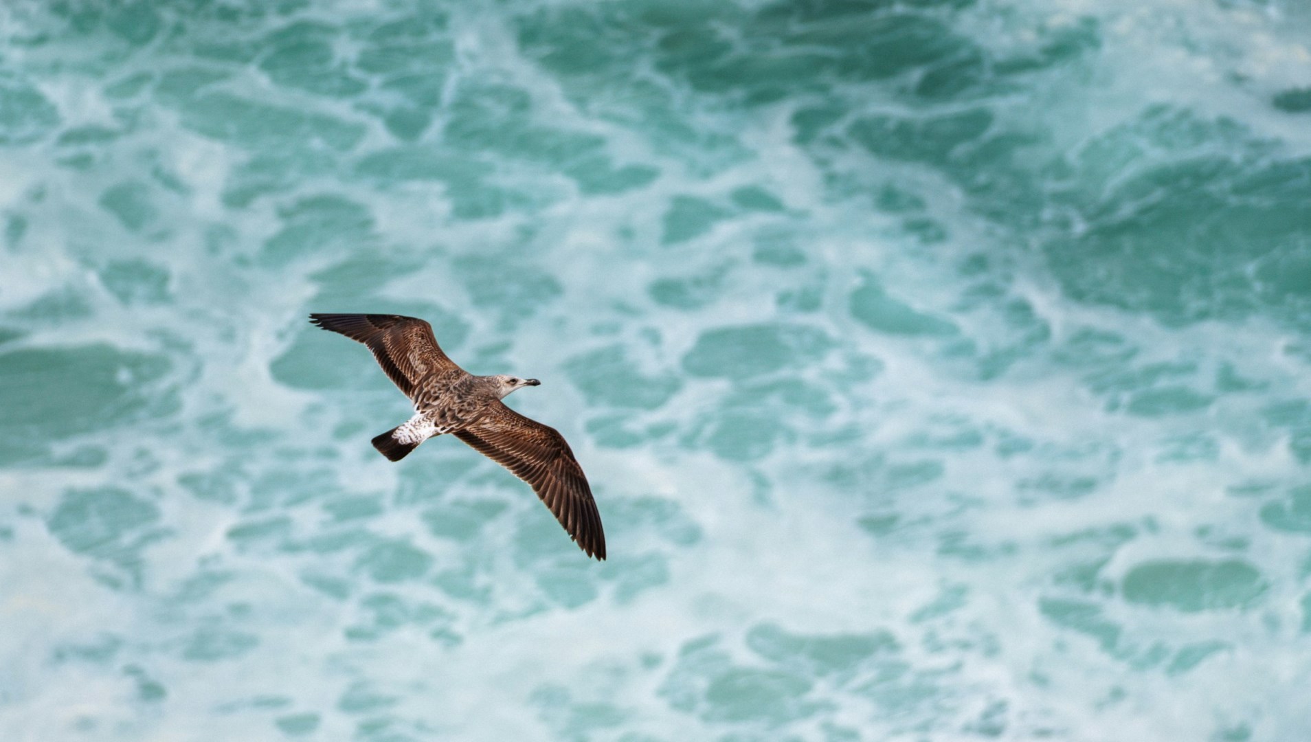  Photo Credit: Photo by Ed Wingate on Unsplash