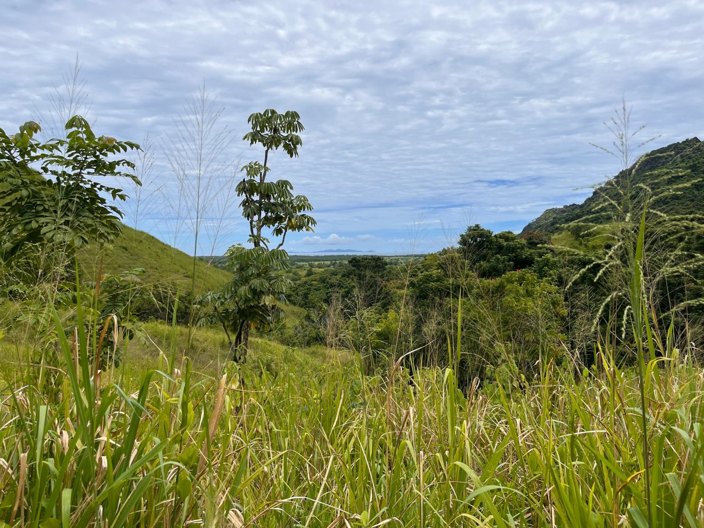 Garden of the Sleeping Giant - Photo Credit: Photo by Cristina Seaborn on Unsplash