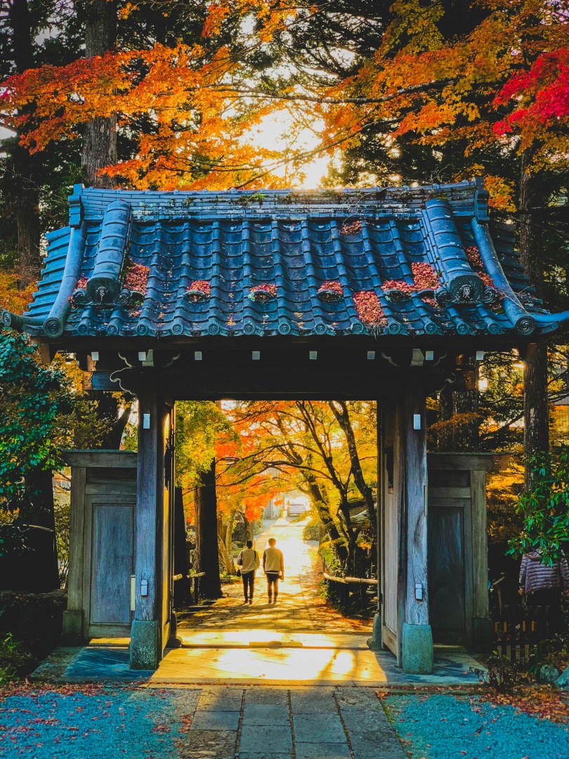  Photo Credit: Photo by Ashirani Murata on Unsplash