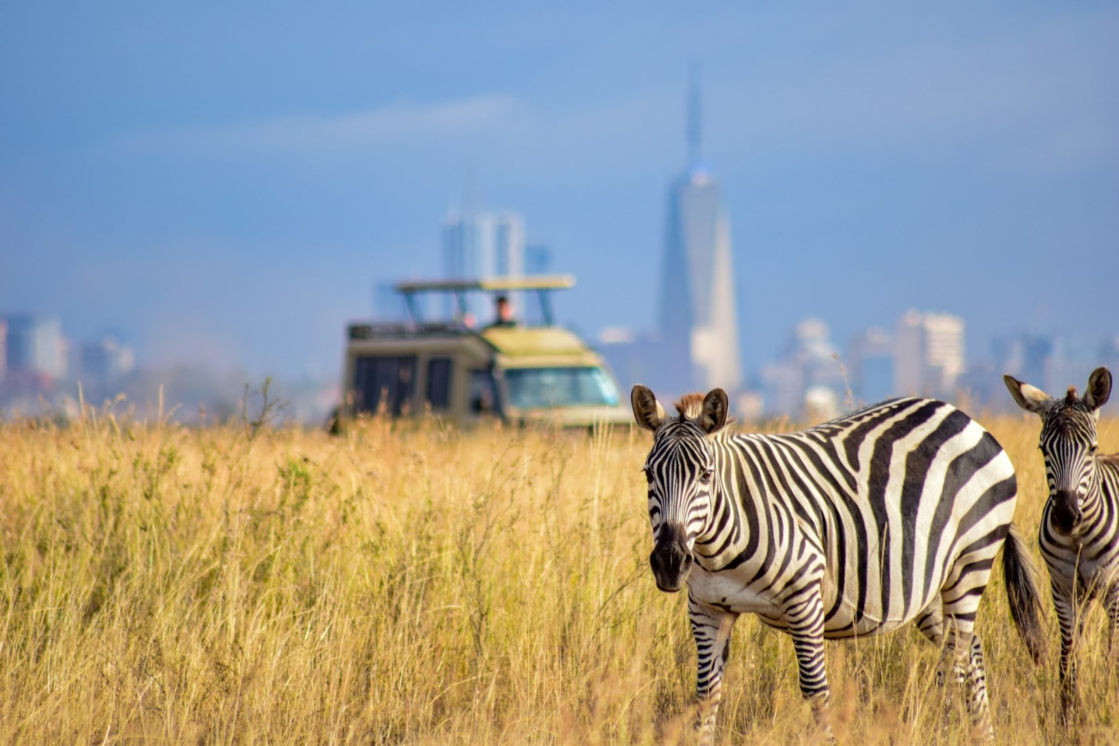 Game drives in Nairobi city - Photo Credit: Photo by Grace Nandi on Unsplash