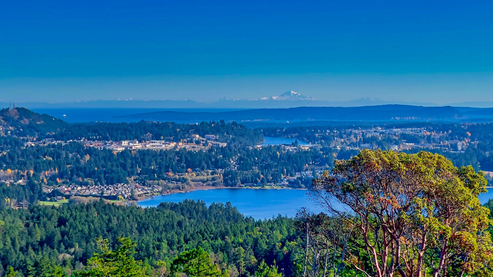  Photo Credit: Photo by Lyle Wilkinson on Unsplash