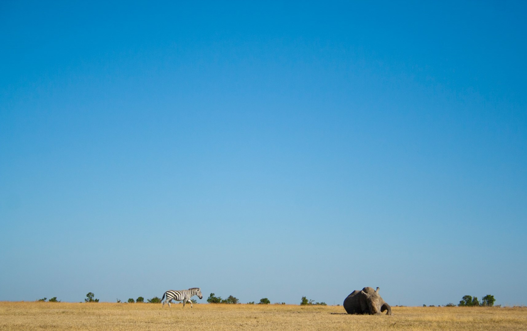 Nanyuki