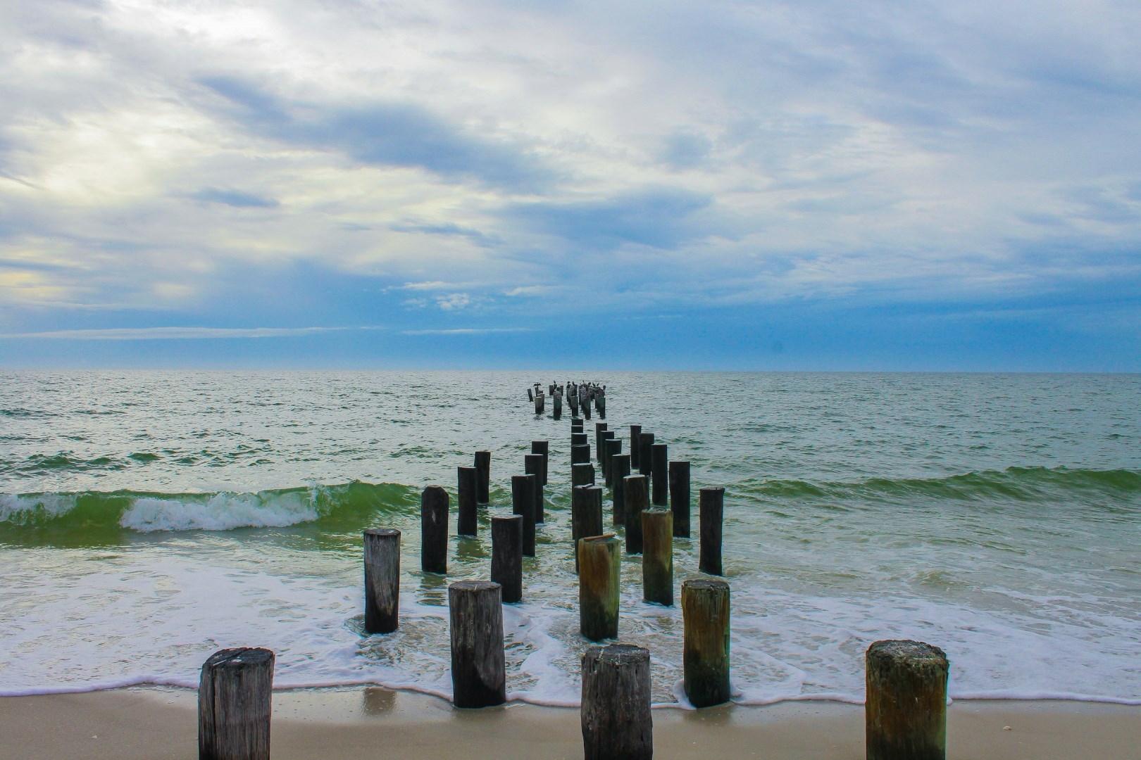  Photo Credit: Photo by Rebecca Cairns on Unsplash