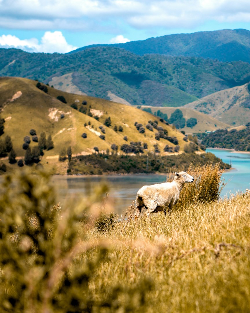  Photo Credit: Photo by Mark de Jong on Unsplash