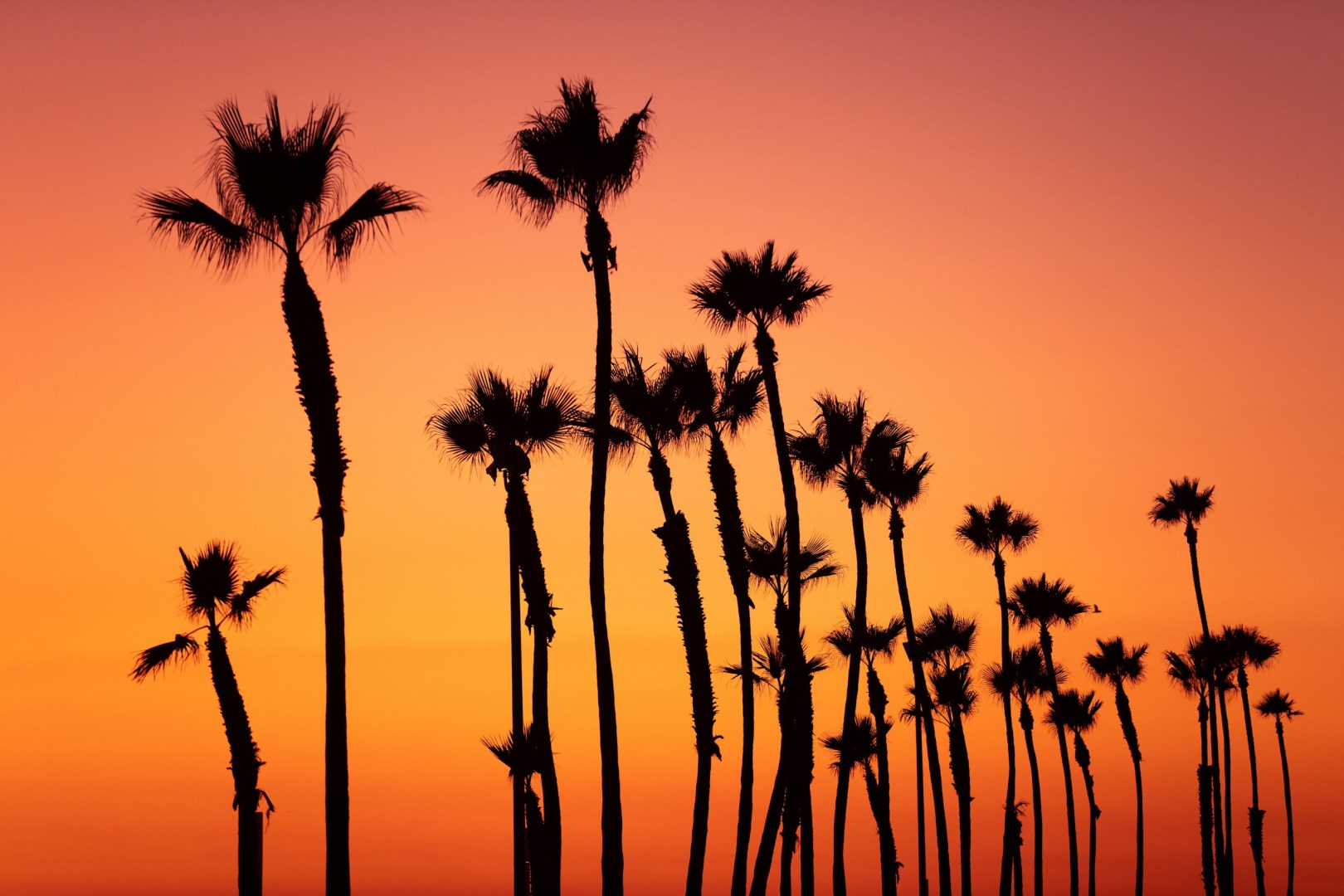  Photo Credit: Photo by Joshua Chun on Unsplash