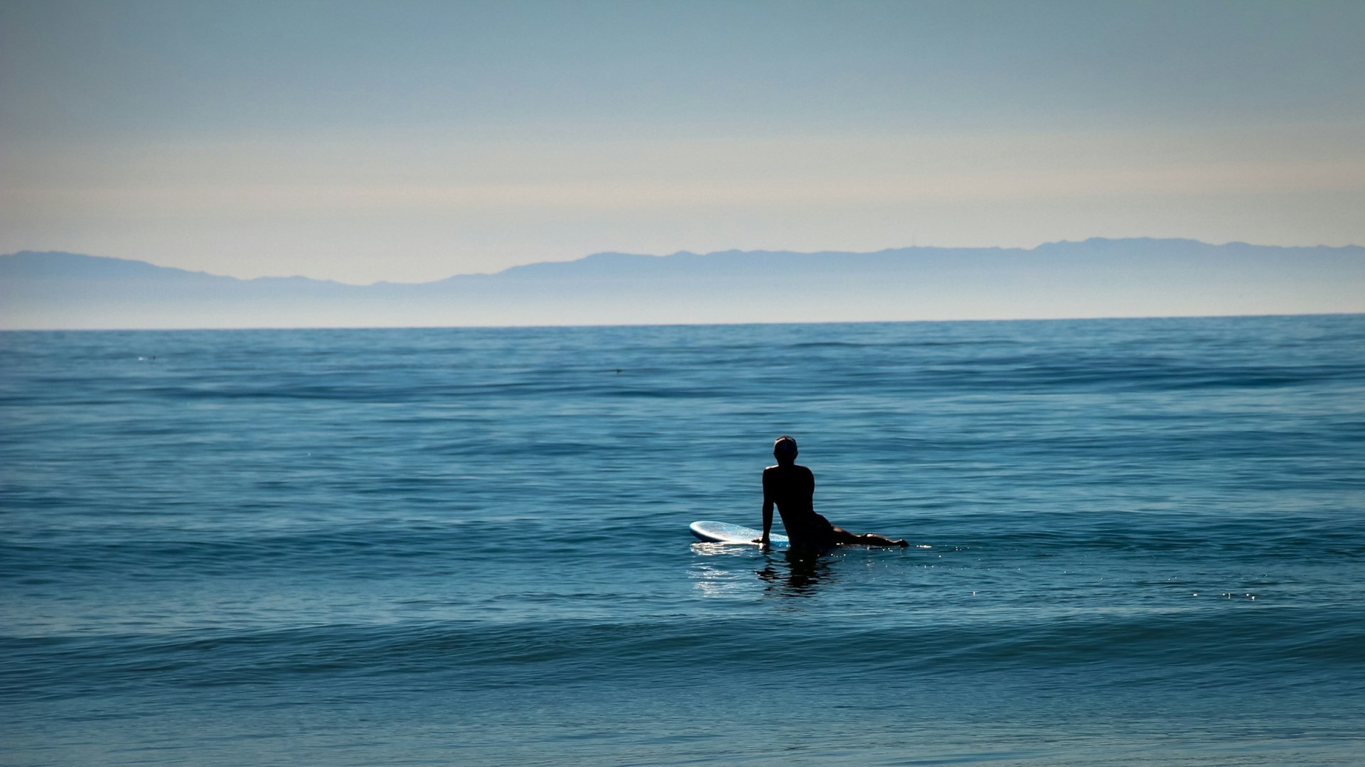  Photo Credit: Photo by Fix Rod on Unsplash