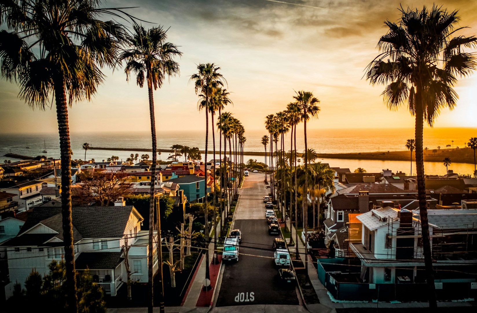 Photo Credit: Photo by Jeffrey Clayton on Unsplash