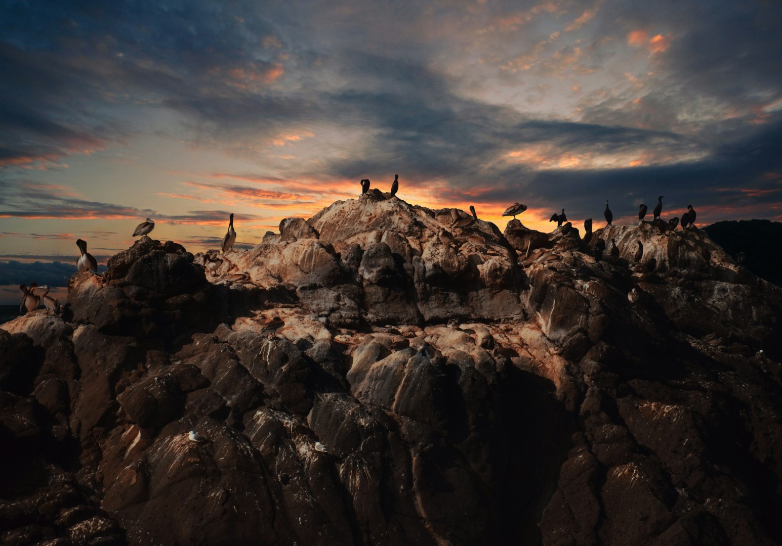  Photo Credit: Photo by Andy Li on Unsplash