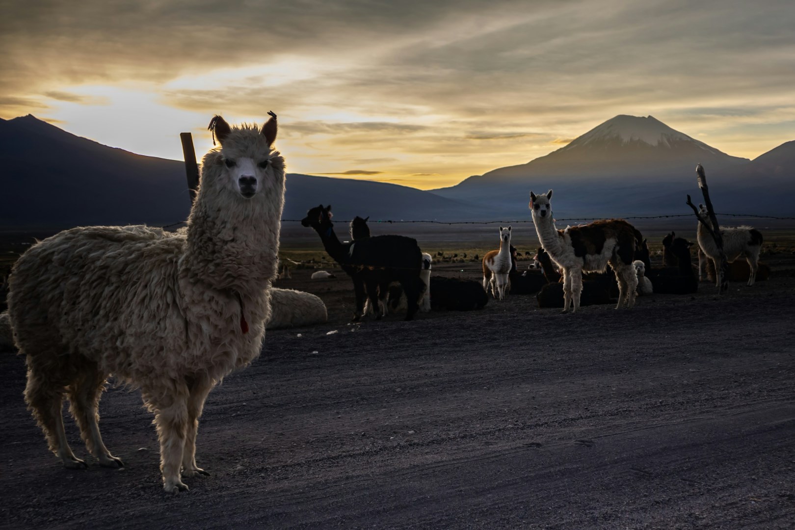  Photo Credit: Photo by Cristhian Guzmán on Unsplash