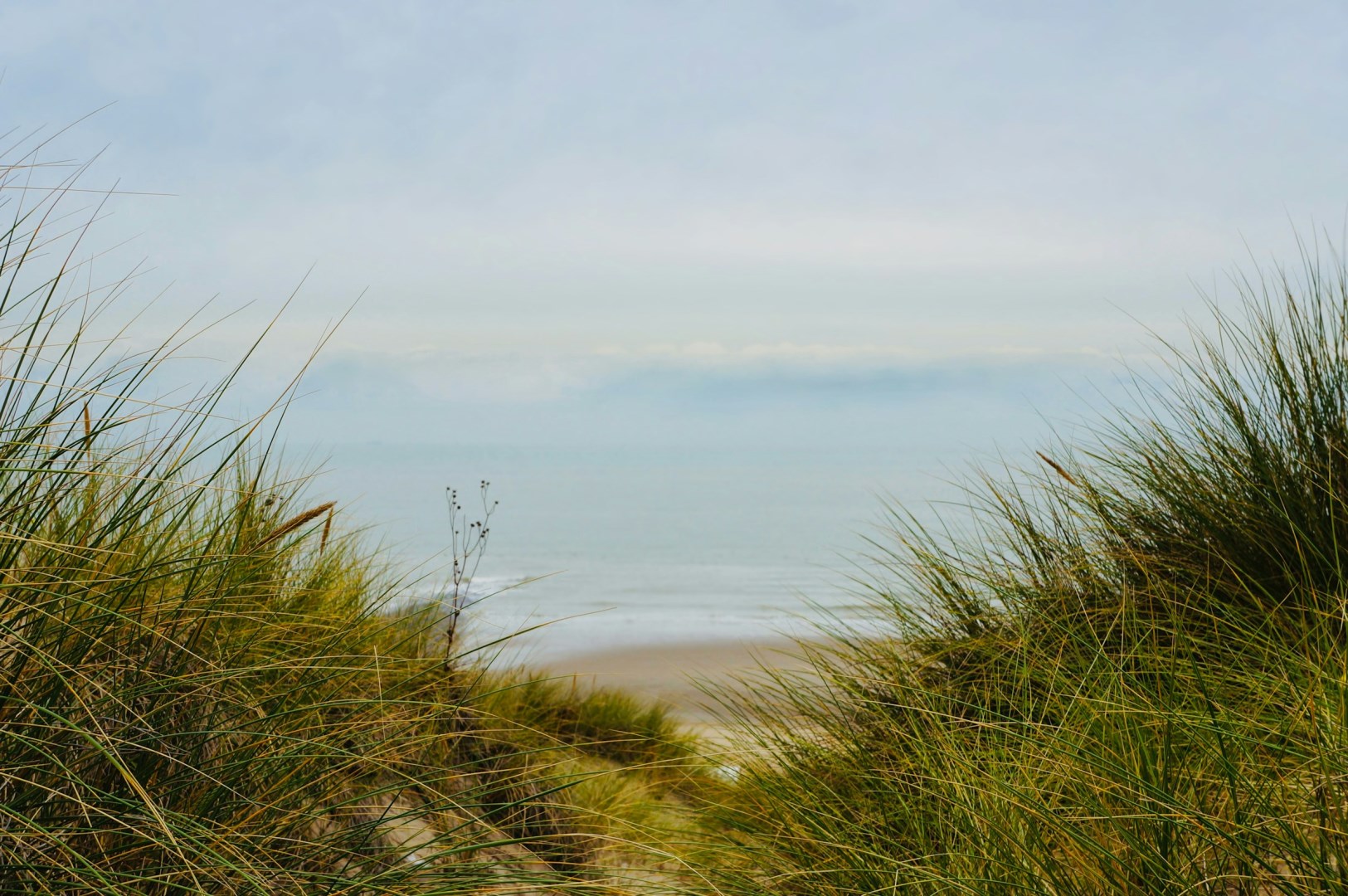  Photo Credit: Photo by Yan Van Nerum on Unsplash