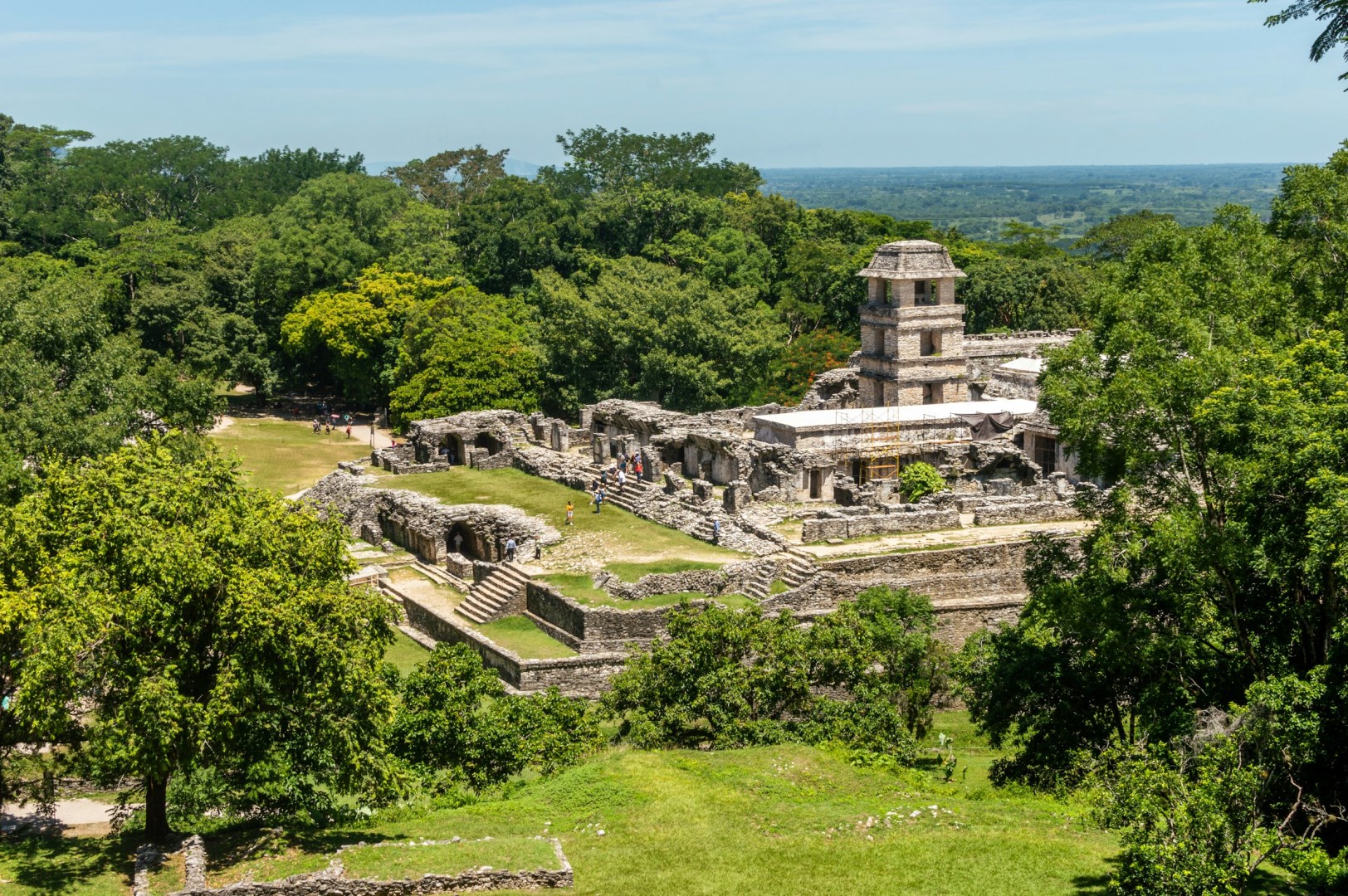  Photo Credit: Photo by Crisoforo Gaspar Hernandez on Unsplash