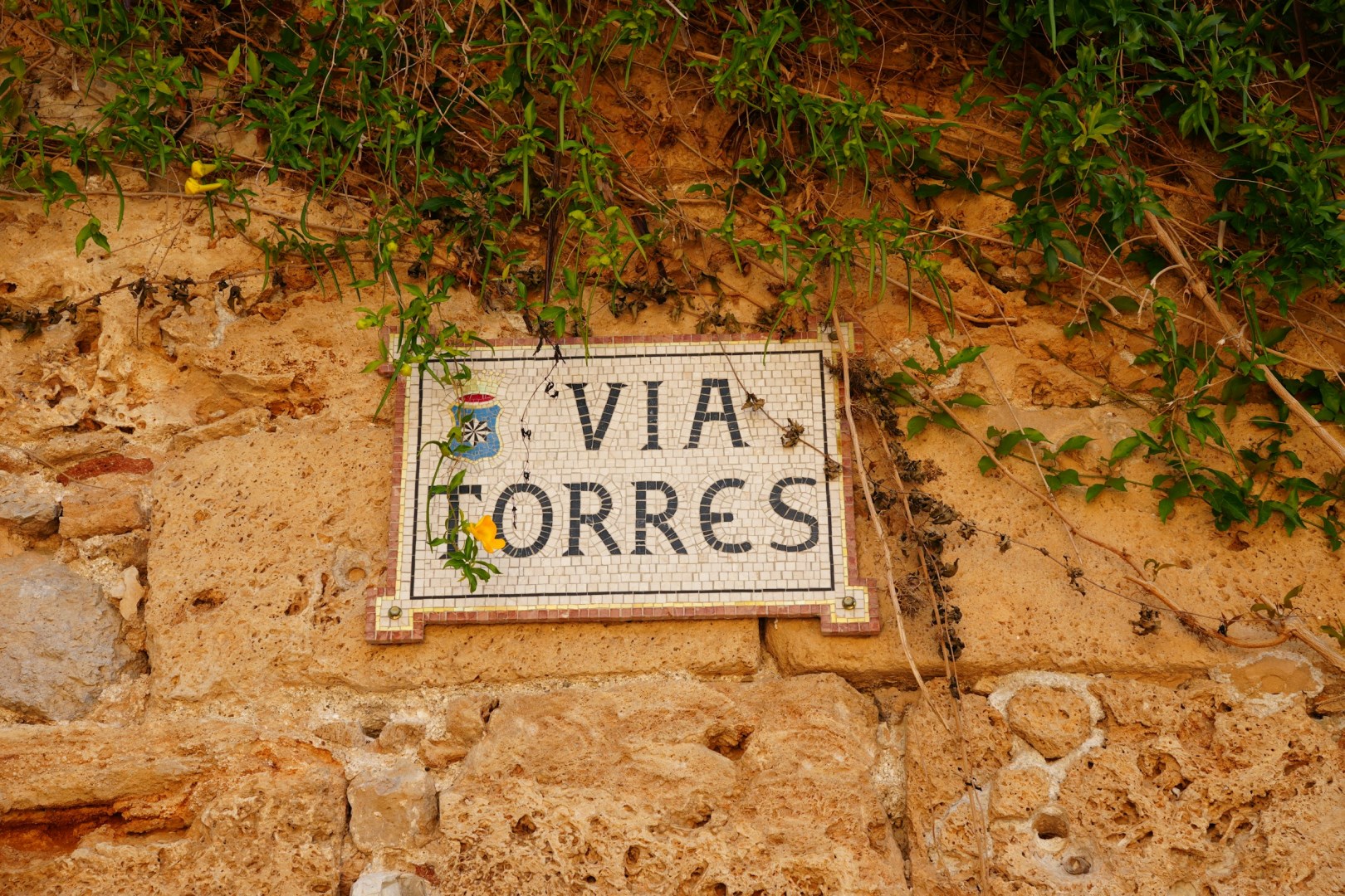  Photo Credit: Photo by Dmitry Romanoff on Unsplash