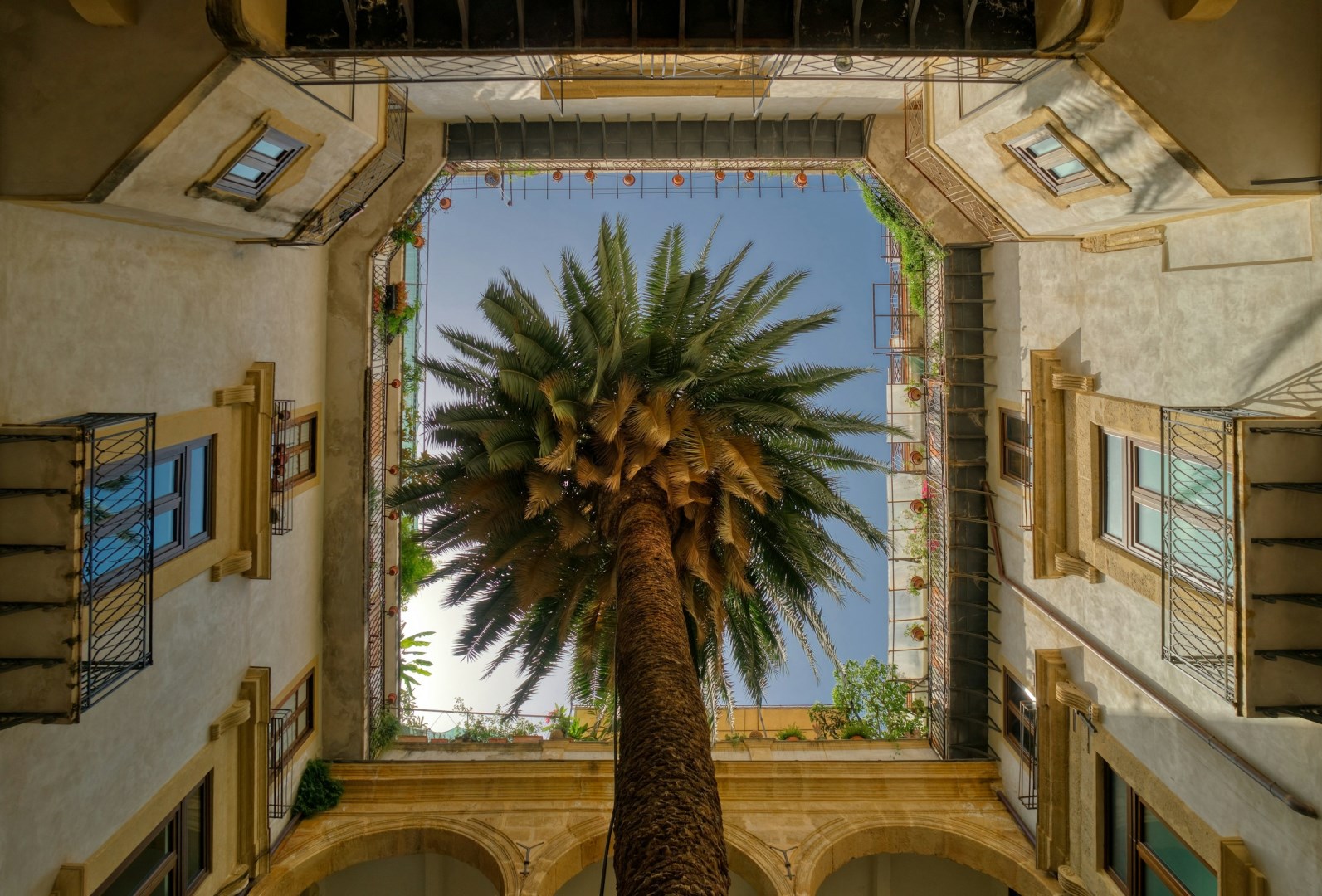  Photo Credit: Photo by Ricardo Gomez Angel on Unsplash