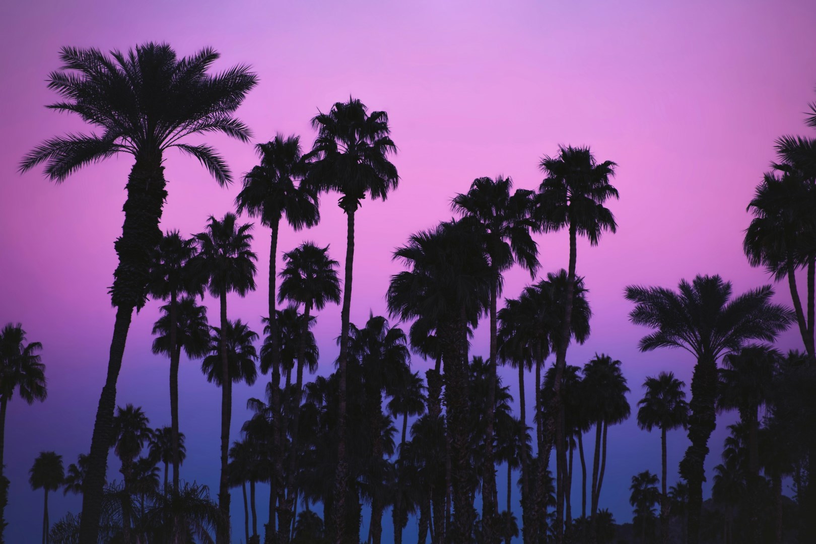 Palm Desert