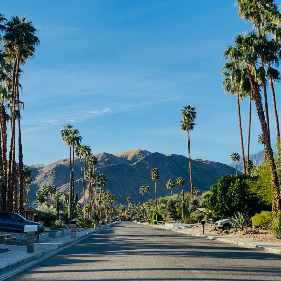 Photo Credit: Photo by Caroline Ross on Unsplash