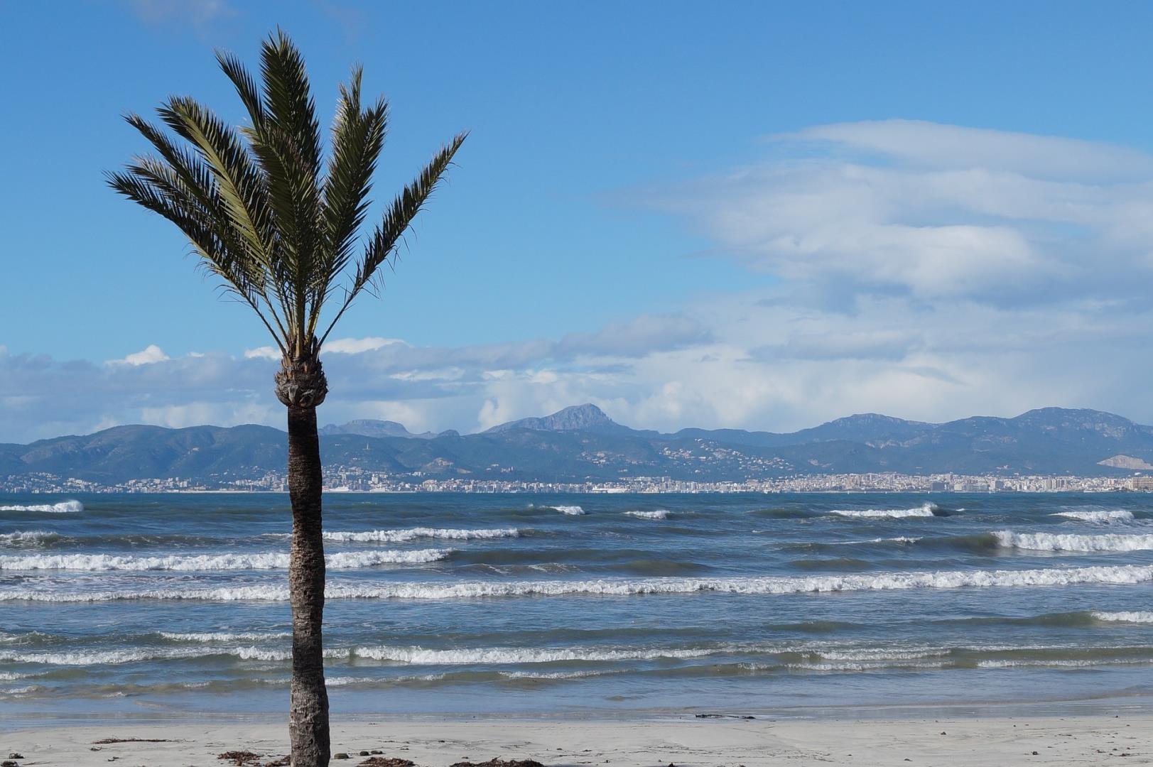 Palma de Mallorca, Spain Palma de Mallorca, Spain - Photo Credit: ralph_rybak via Pixabay