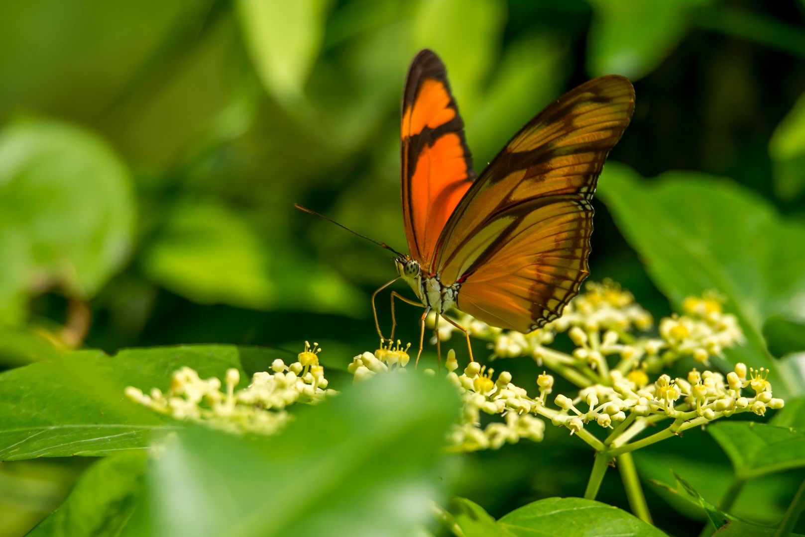 Photo Credit: Photo by Vincent van Zalinge on Unsplash