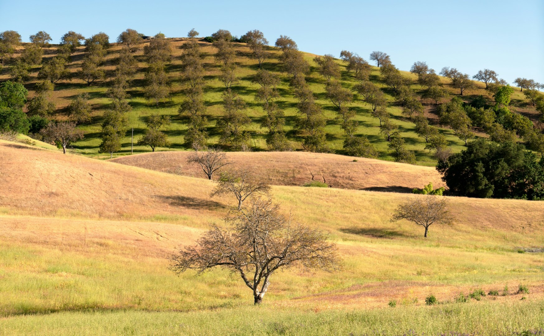  Photo Credit: Photo by Jim Witkowski on Unsplash