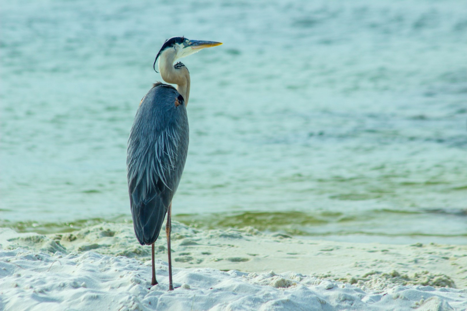 Pensacola