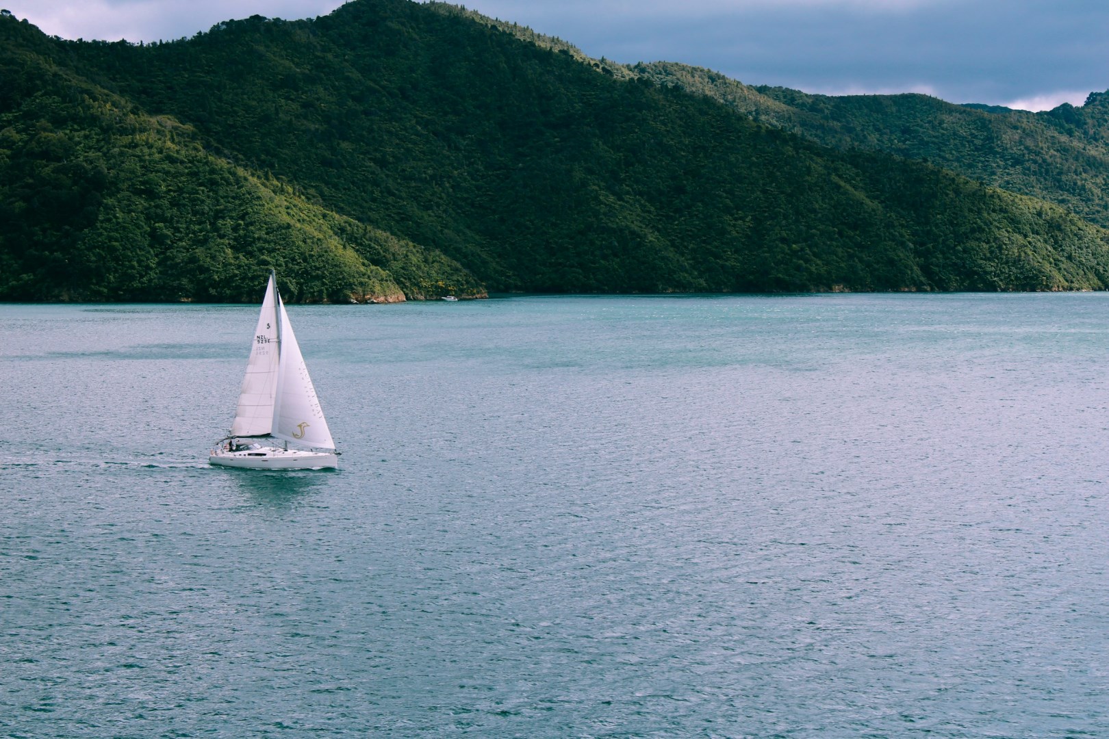  Photo Credit: Photo by Adana Hulett on Unsplash