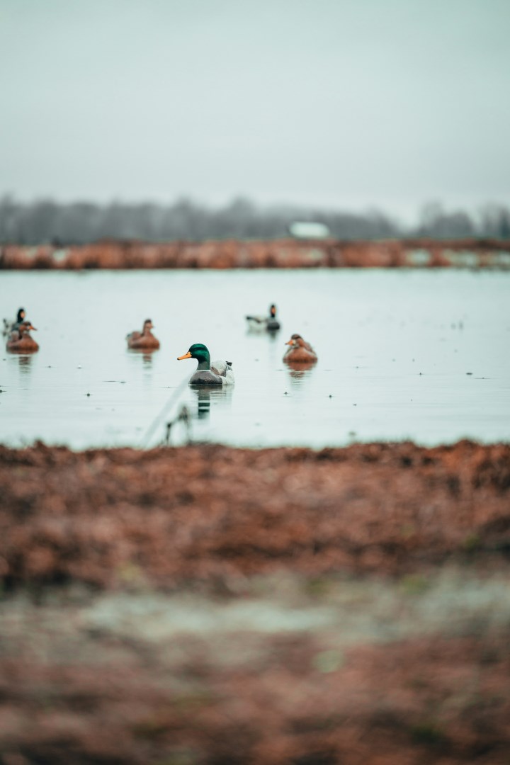  Photo Credit: Photo by Aaron James on Unsplash