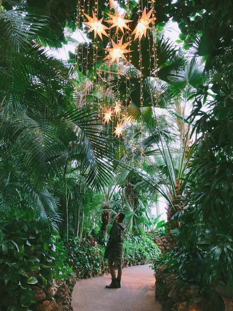 Phipps Conservatory and Botanical Gardens - Photo Credit: Photo by Ace Vu on Unsplash
