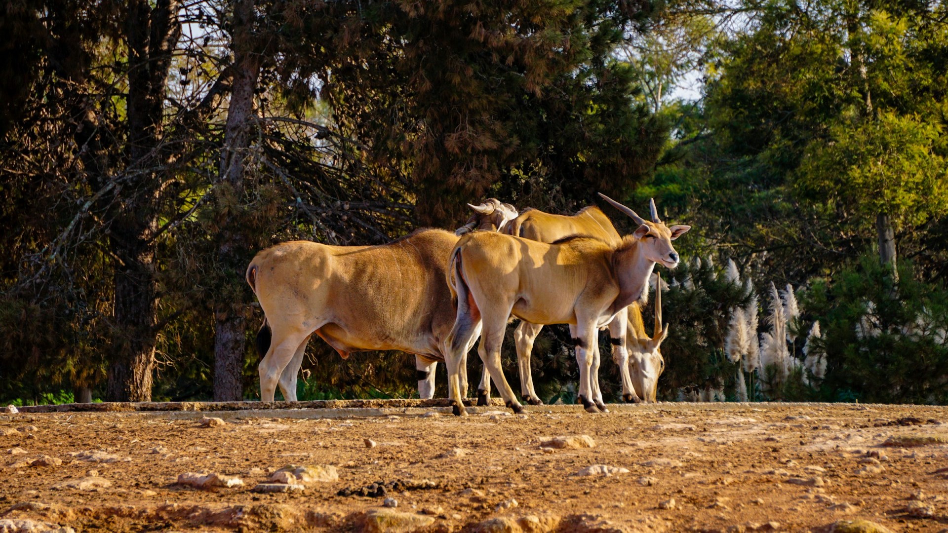  Photo Credit: Photo by Mohamed Abira on Unsplash