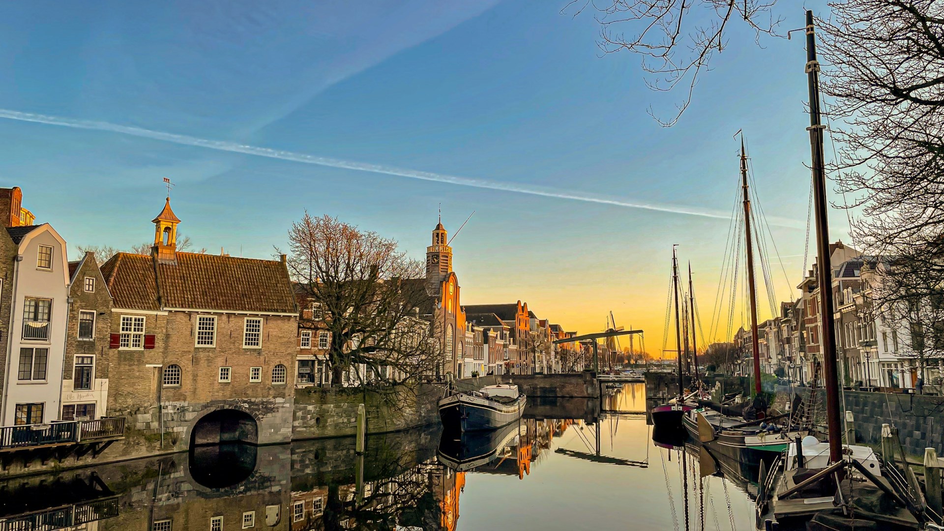  Photo Credit: Photo by Arjen Uitbeijerse on Unsplash