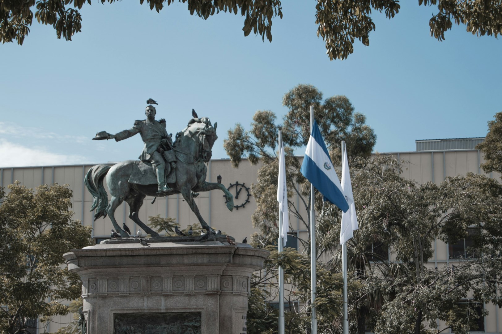  Photo Credit: Photo by Esaú Fuentes González on Unsplash