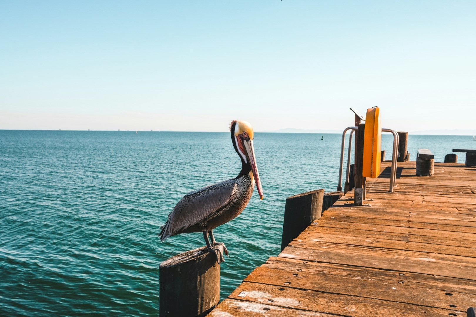  Photo Credit: Photo by Benjamin Zanatta on Unsplash