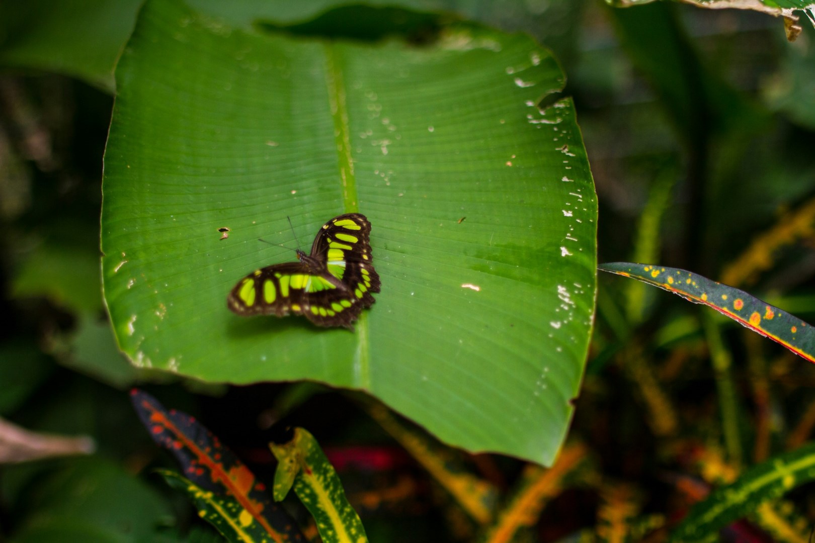  Photo Credit: Photo by Andrea Huls Pareja on Unsplash