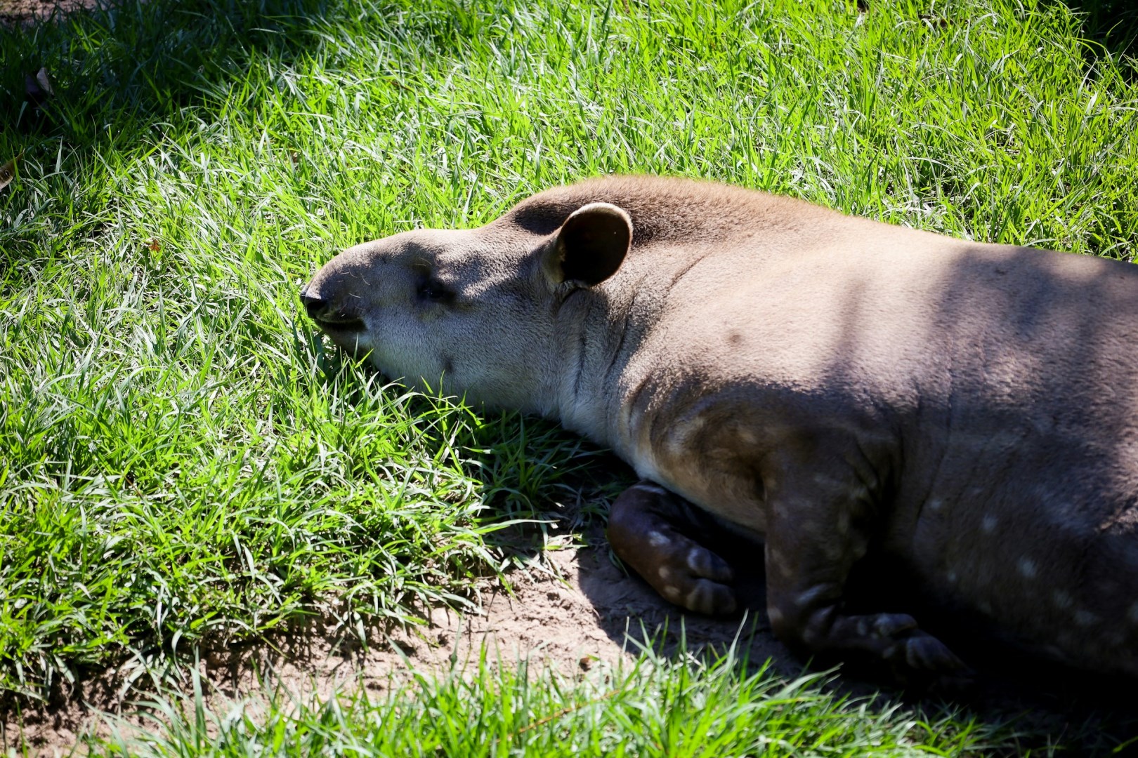  Photo Credit: Photo by Bonnie Kittle on Unsplash